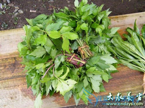 ����ʳƷ��������ֱ����������(6)