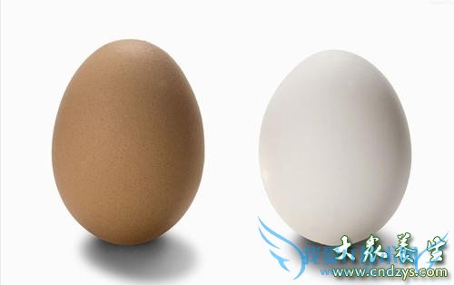 ����ʳƷ��������ֱ����������(2)