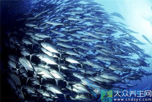 ��������ô�Ժ���Ʒ�Ű�ȫ!(1)