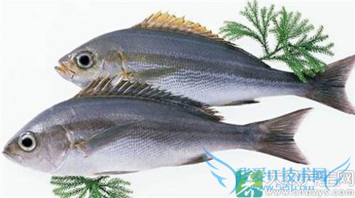 ��������ô�Ժ���Ʒ�Ű�ȫ!(9)