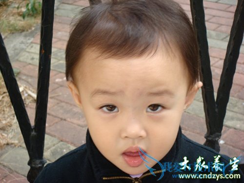 С��������