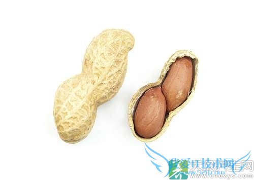 �и��ܳԻ�����