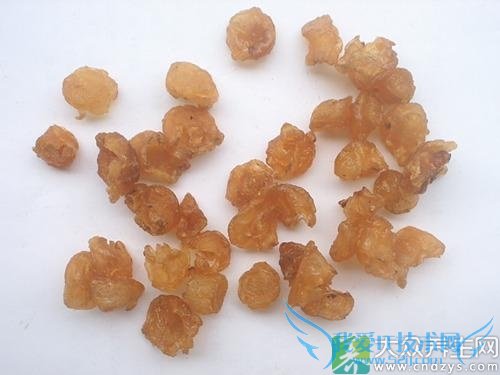 �и����ԳԹ�Բ����