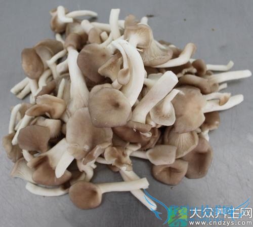 �����ܳ����乽��