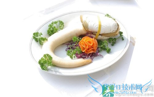 �������ܳ���ΰ���