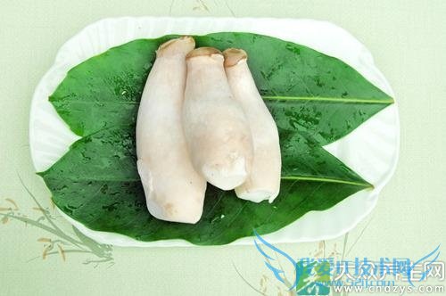 �и��ܳ��ӱ�����