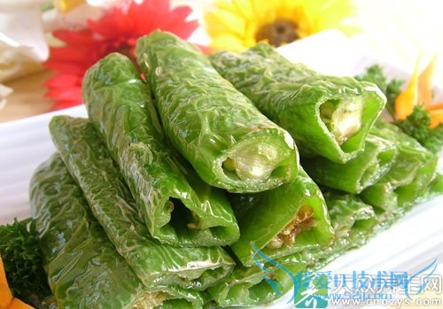 �������ܳԼ⽷��  