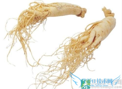 Ƥ�������ܳ��˲���