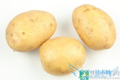 Ƥ�������ܳ���������