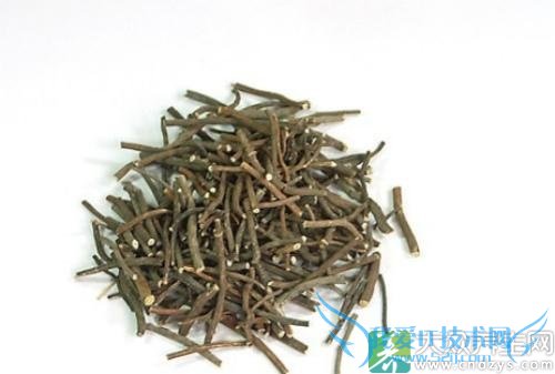 �����ܳ���������?