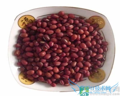 �����ܳԳ�С����