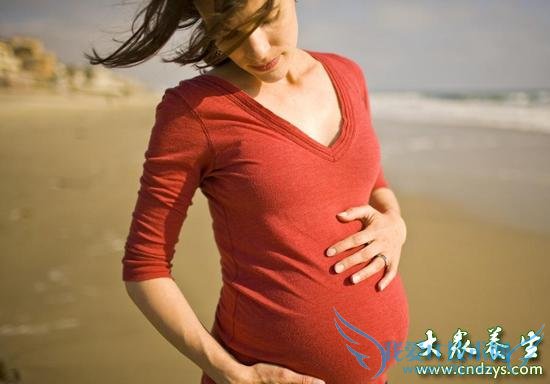 ����ʮ����������ѷ�(5)