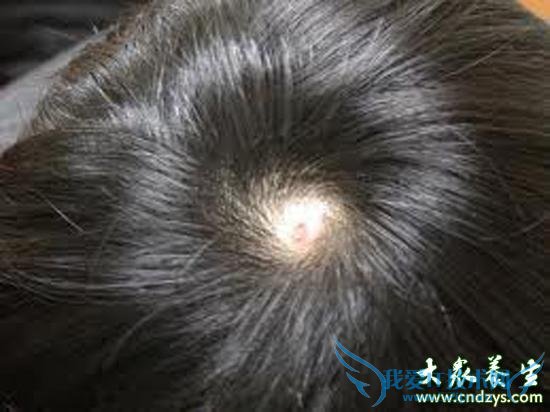 ����ʮ����������ѷ�(3)