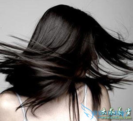 ����ʮ����������ѷ�(12)