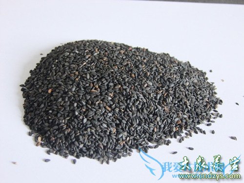 �����ܳԺ�֥����