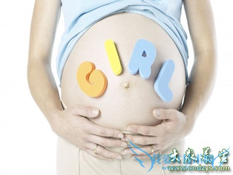 ����Ԥ����������������(1)