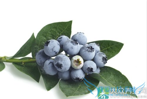  �����ܳ���ݮ��