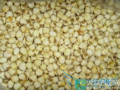 �Ƽ��ظ���Ů�˵ڶ�����(4)