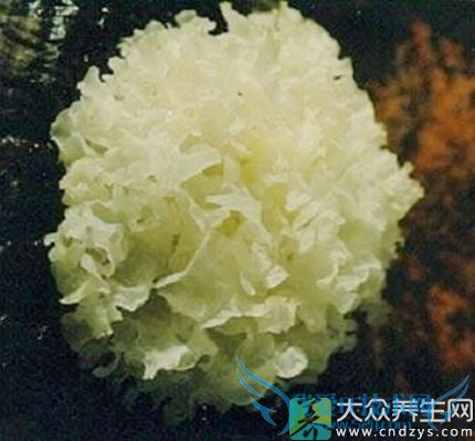 �Ƽ��ظ���Ů�˵ڶ�����(3)