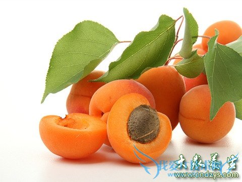 ���˱ر������ֲ��ϡ���ҩ��(1)