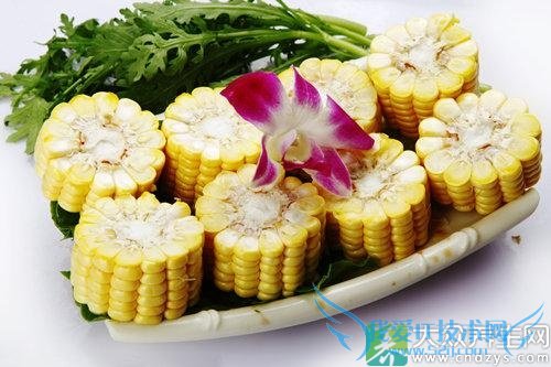 �и��ܳ�������