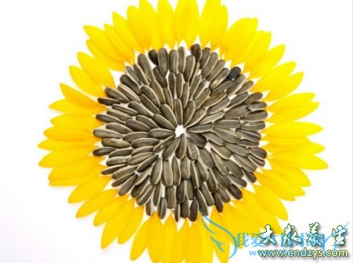 �и��Կ����Ѻ���