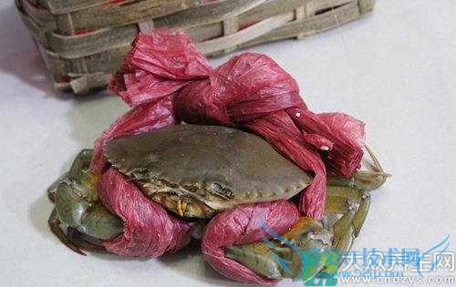 Ƥ�������ܳ���з��