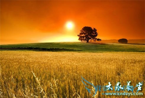 ���Խ����İ˴󡰾��С�(4)