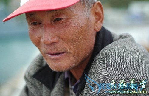 �����������ô����  