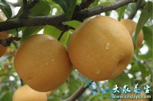 �и��Ƿ��ܳ�����