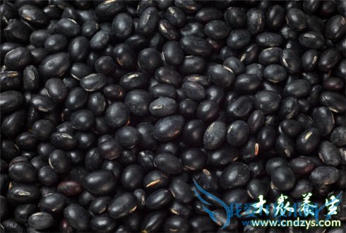 �����ĺ�ɫʳ������Щ(3)