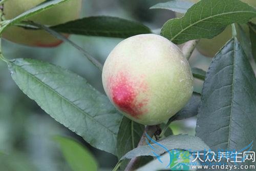 �����ܳ�������