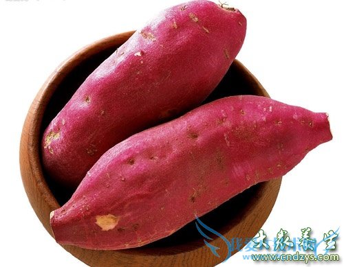 ʮ�ֺ�ʳ��  ��Ů�˴�ͷ������(2)