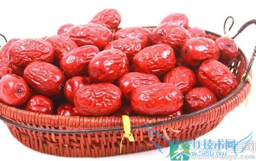 Ƥ�������ܳԴ�����