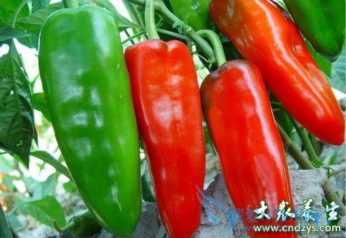 ��Ѫѹ�ܳ�������