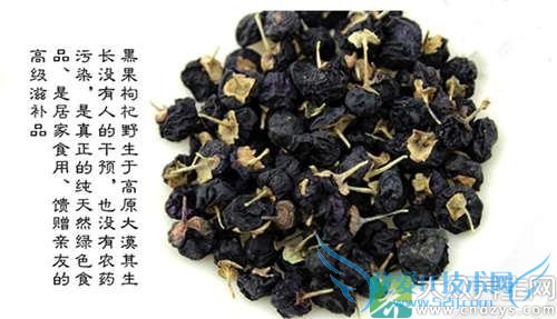 �и��ܳԺ������