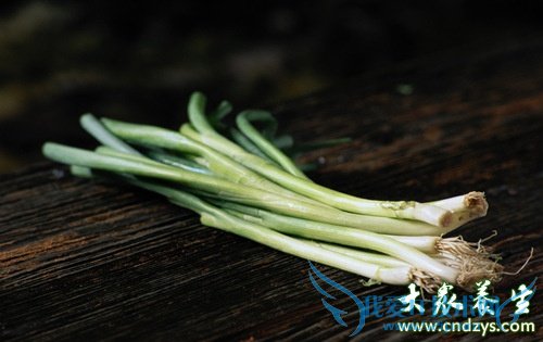 ����ÿ�ͱسԵ�8�֡�ΰ�硱(7)