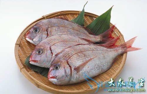 ����ÿ�ͱسԵ�8�֡�ΰ�硱(5)