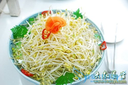 ��ǰ�Ŷ���ʲô����ǰ�Ŷ���ʳ�ף�(4)