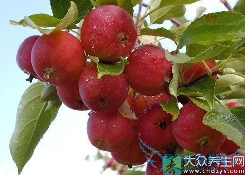 Ƥ�������ܳ�ɳ����