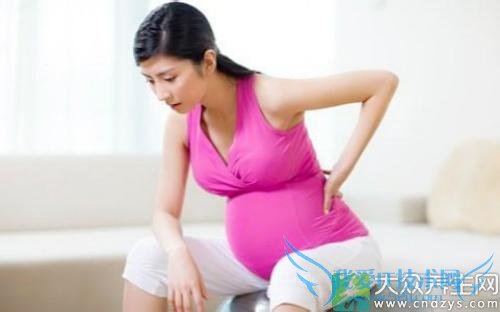 ���������Ԥ�����