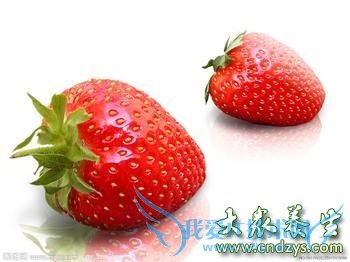 ���ּ���ʳ�� ��Ů��Խ��Խ����(5)