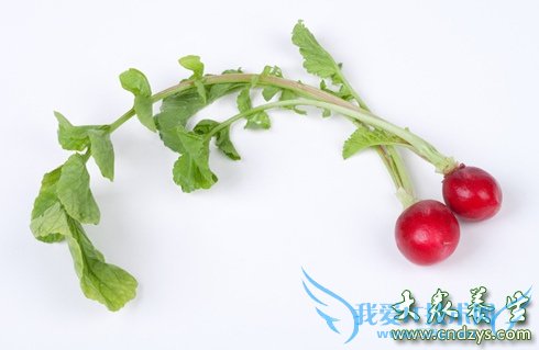 10��ʳ�����Բ���֢�ٳ�(3)