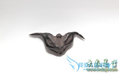 10��ʳ�����Բ���֢�ٳ�(10)