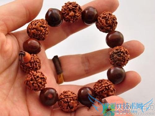 ��ʿ�ش���ʮ�������ִ�(3)