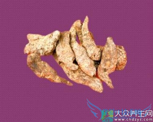 �����ܳ����ػ���