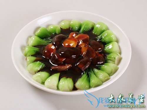 �и����Գ��Ϻ�����