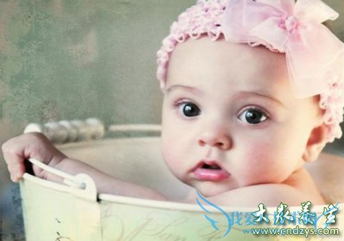 Ӥ�������