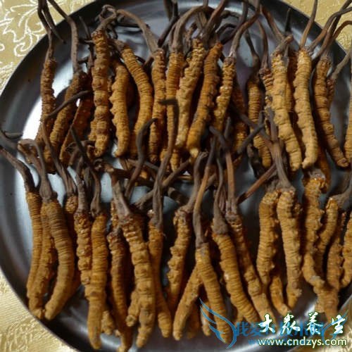 ��Ѫѹ��ʲô��Ʒ��