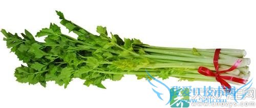 �����ߡ����˱ر�5��������(2)